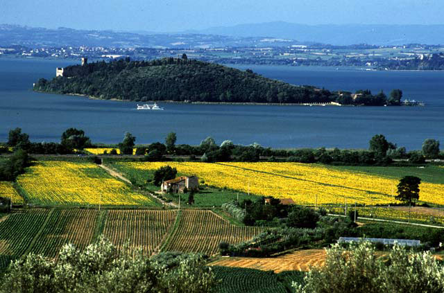 lago trasimeno magione